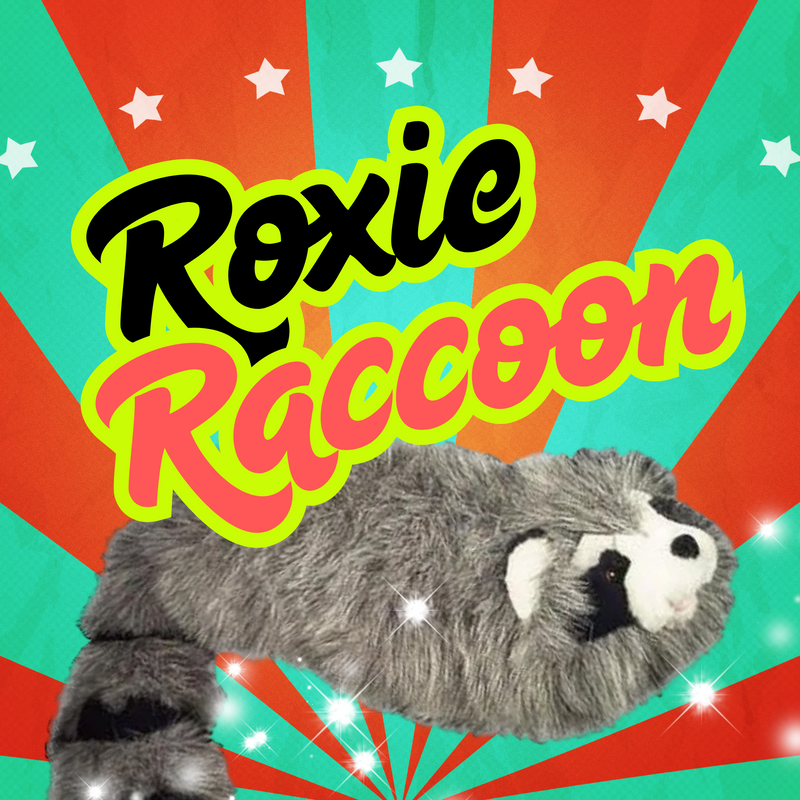 Raccoon Magic Trick