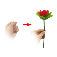 APPEARING ROSE