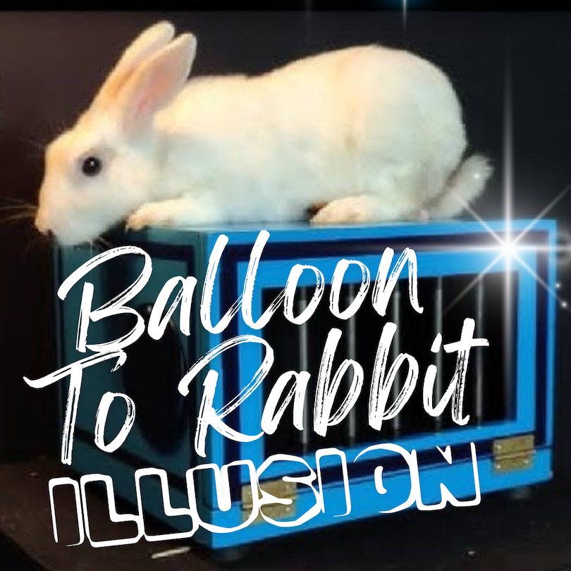 BALLOON TO RABBIT ILLUSION
