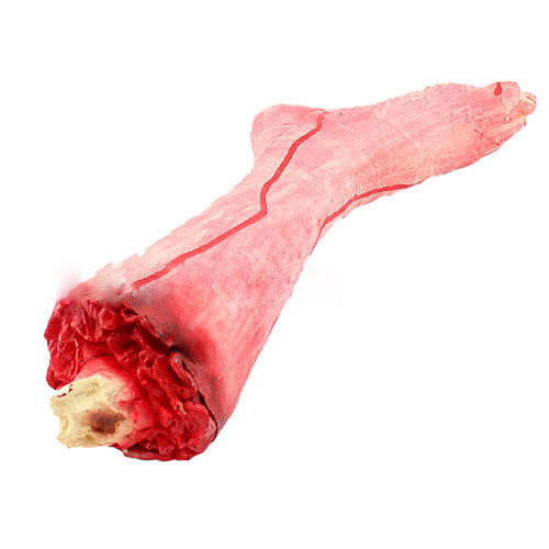 Halloween Gory Fake Leg Prop