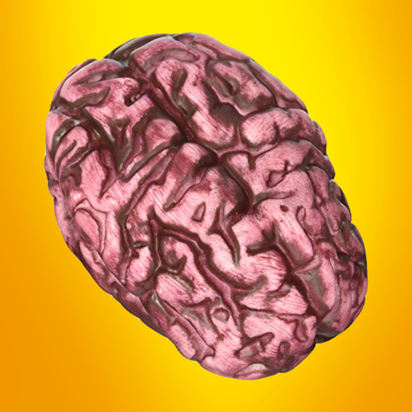FAKE BRAIN JOKE TOY
