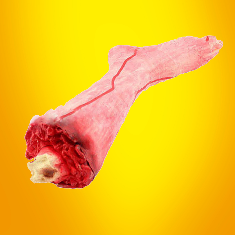 HORROR GORY FAKE LEG PROP