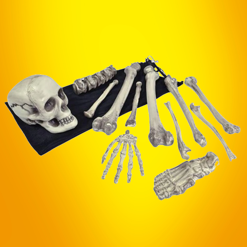 BAG OF BONES