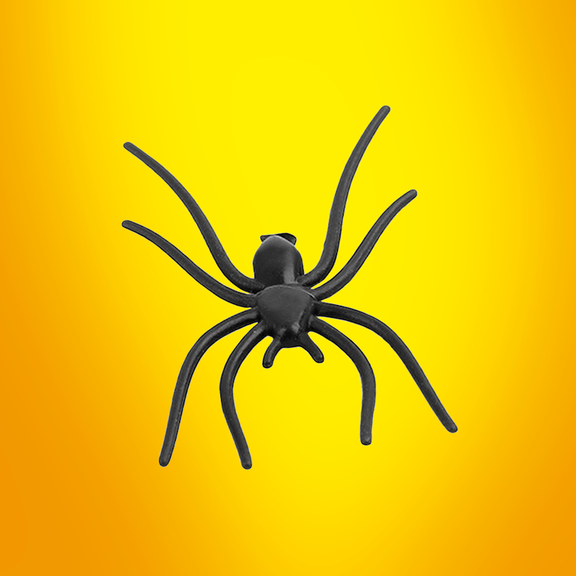 Joke Fake Black Spider