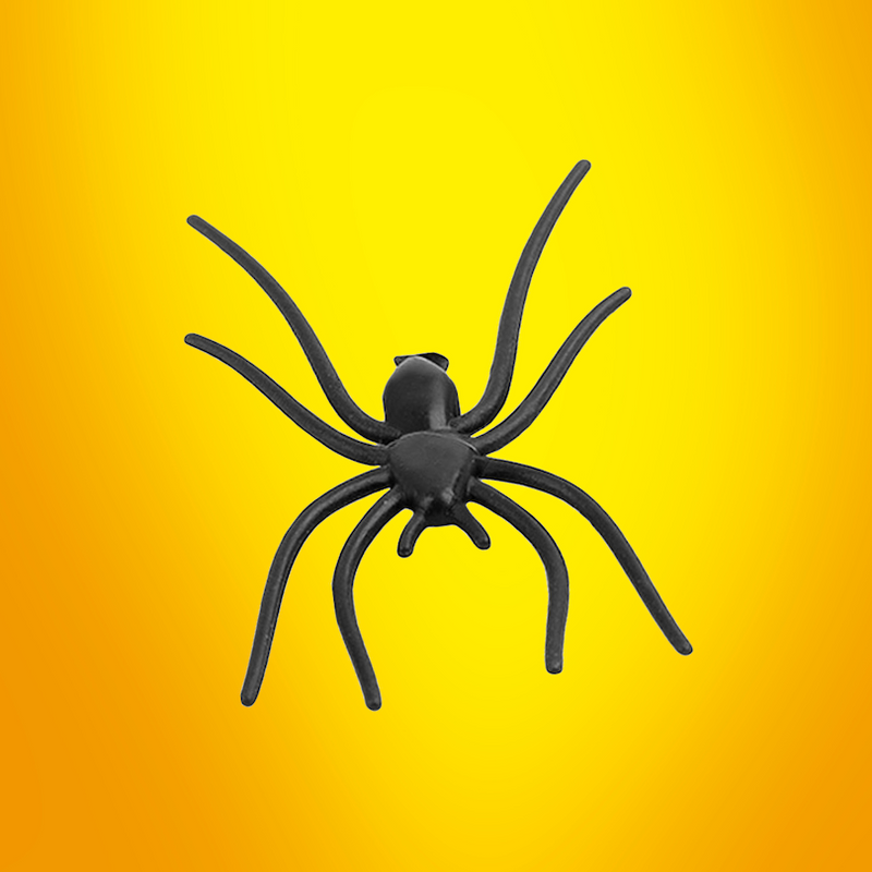 Joke Fake Black Spider