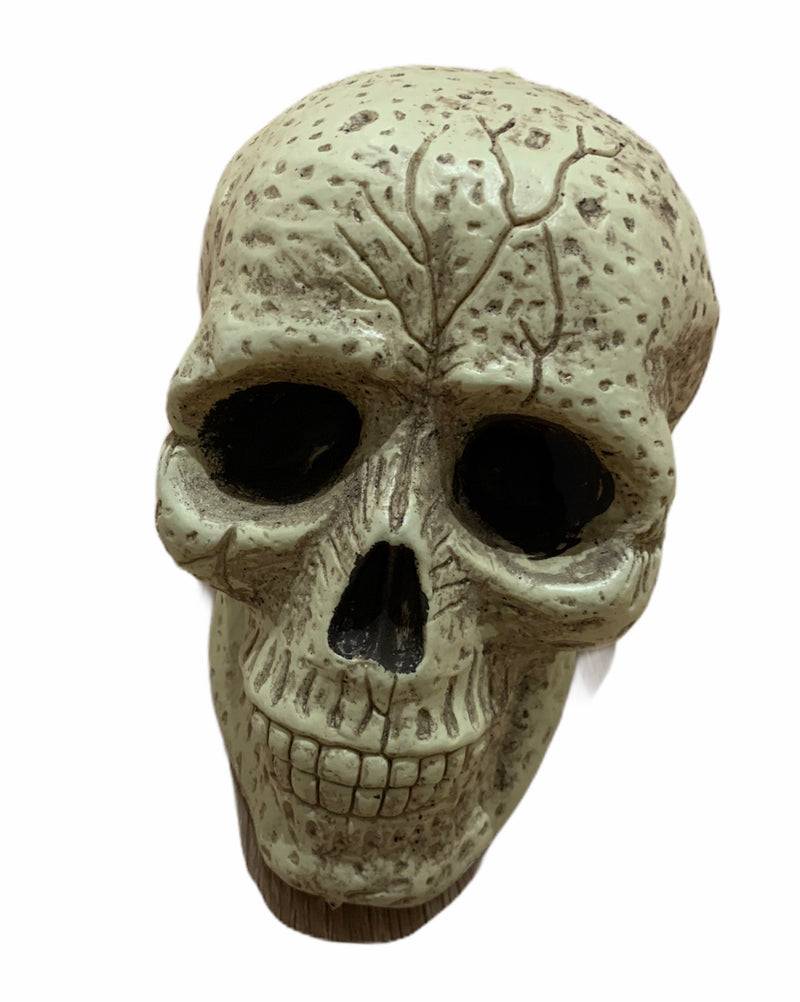 FAKE REALISTIC SKULL