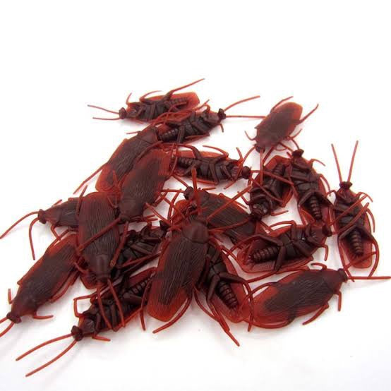 FAKE COCKROACH