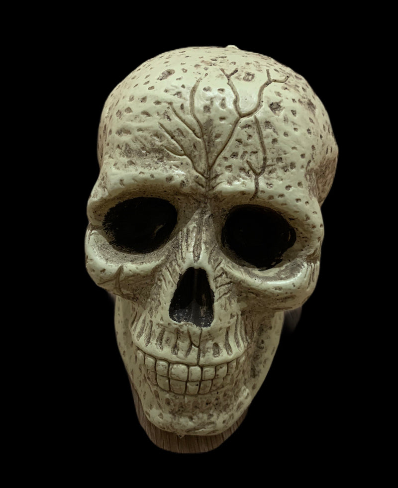 FAKE REALISTIC SKULL