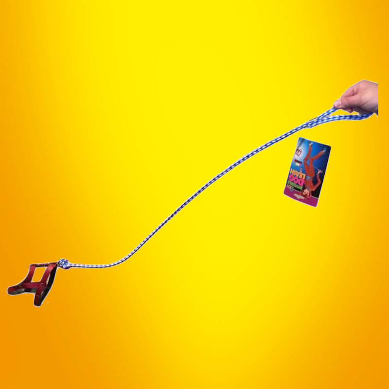 INVISIBLE DOG LEASH
