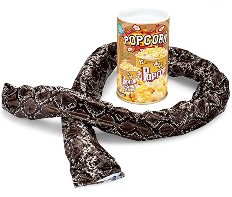 POPCORN SNAKE CAN