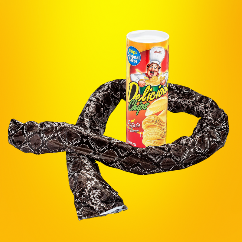 Snake_Can_Joke_Toy