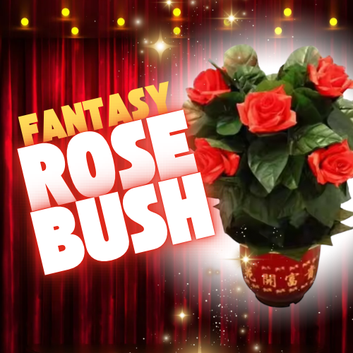 Rose Tricks Magic Shop Australia