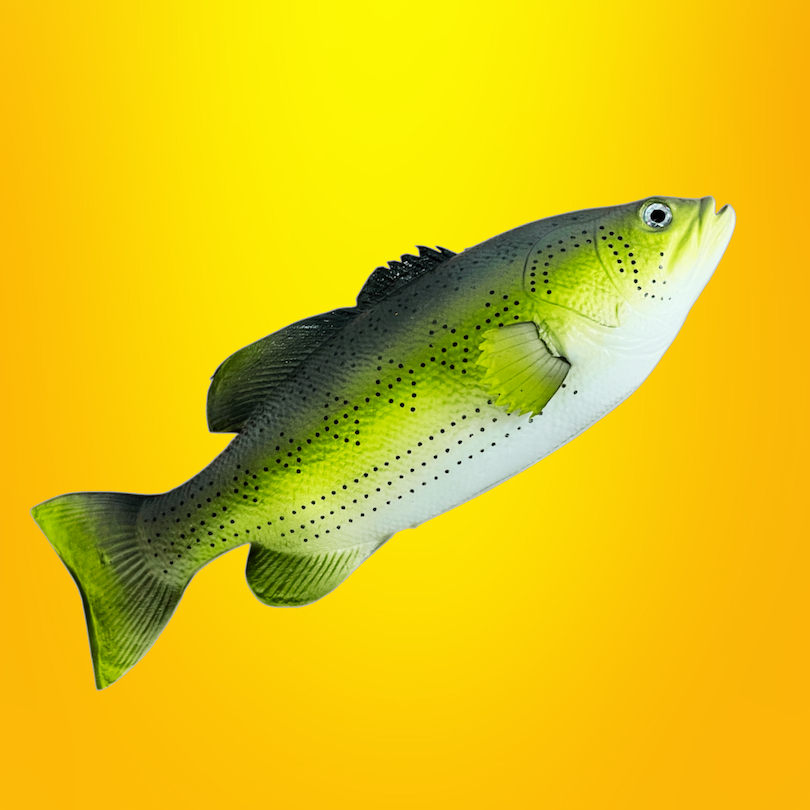 JUMBO FAKE FISH TOY