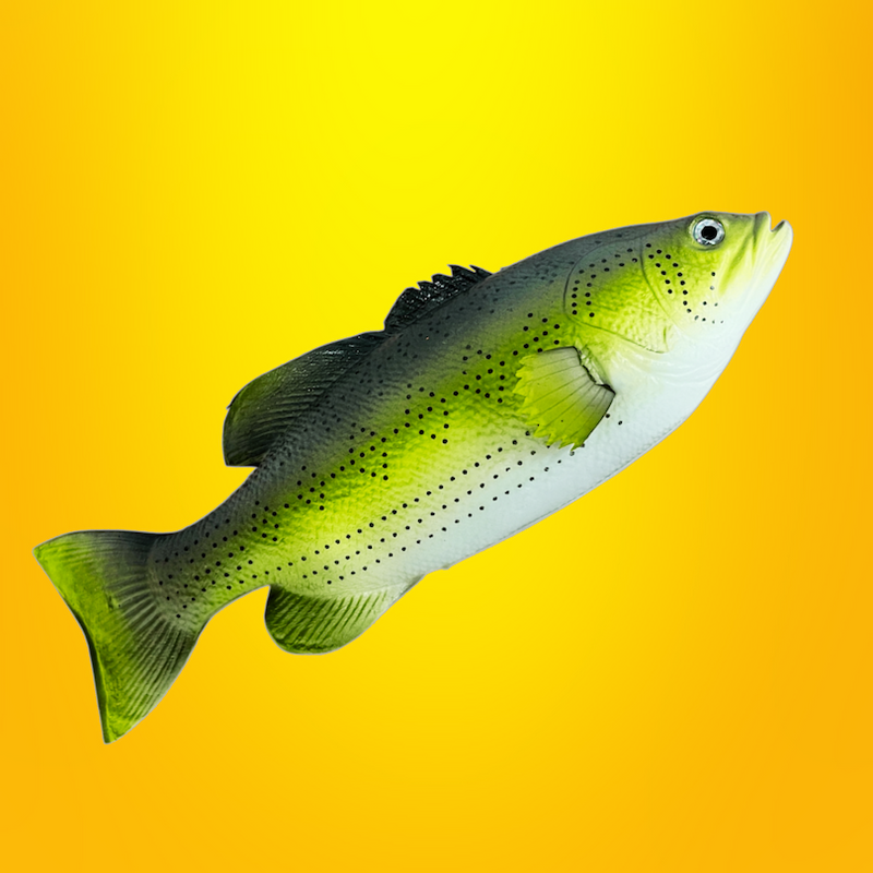 JUMBO FAKE FISH TOY