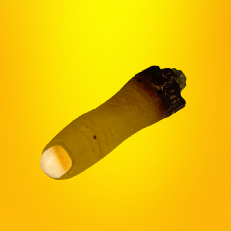 FAKE FINGER