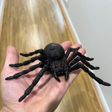 FAKE TARANTULA SPIDER