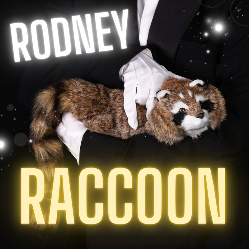 MAGIC RODNEY SPRING RACCOON