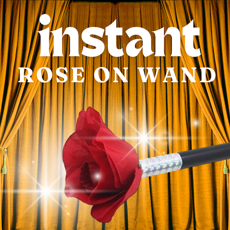 INSTANT ROSE ON MAGIC WAND