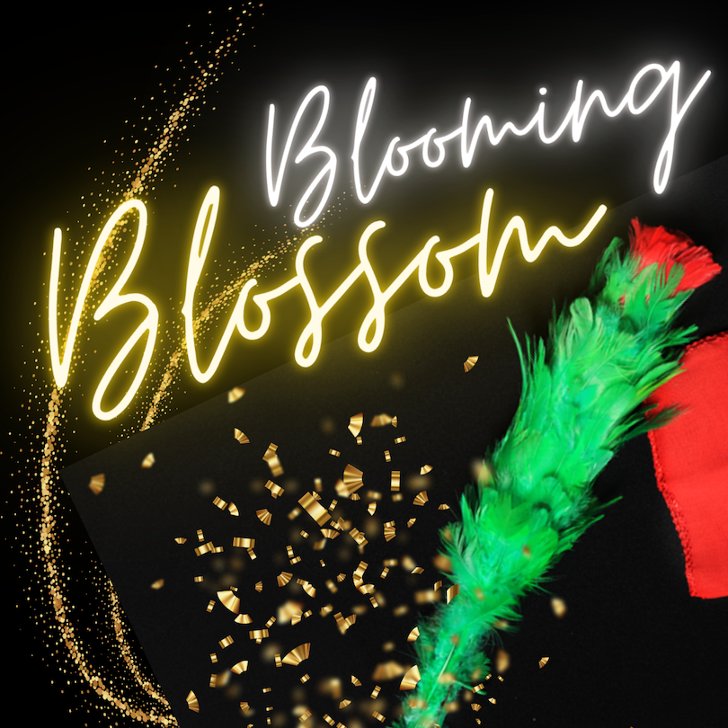 Blooming Blossom Magic Trick Magic Shop Australia