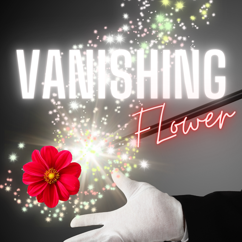 Vanishing Flower Magician Trick Magic Shop Australia