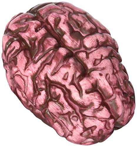 fake brain toy