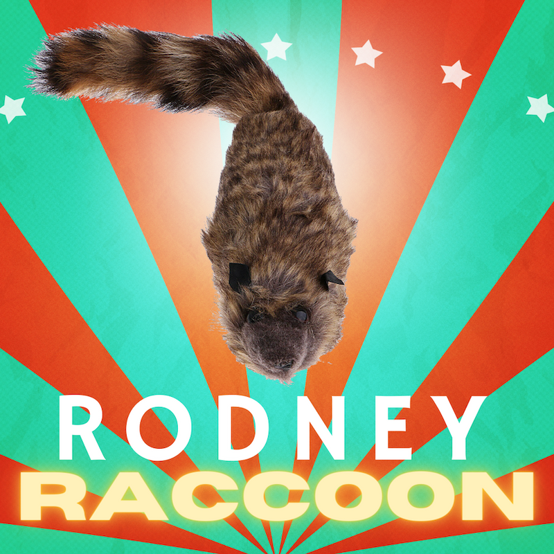 Magic Raccon MAGIC RODNEY SPRING RACCOON | Magic Shop Australia – Mike's Magic Shop ...
