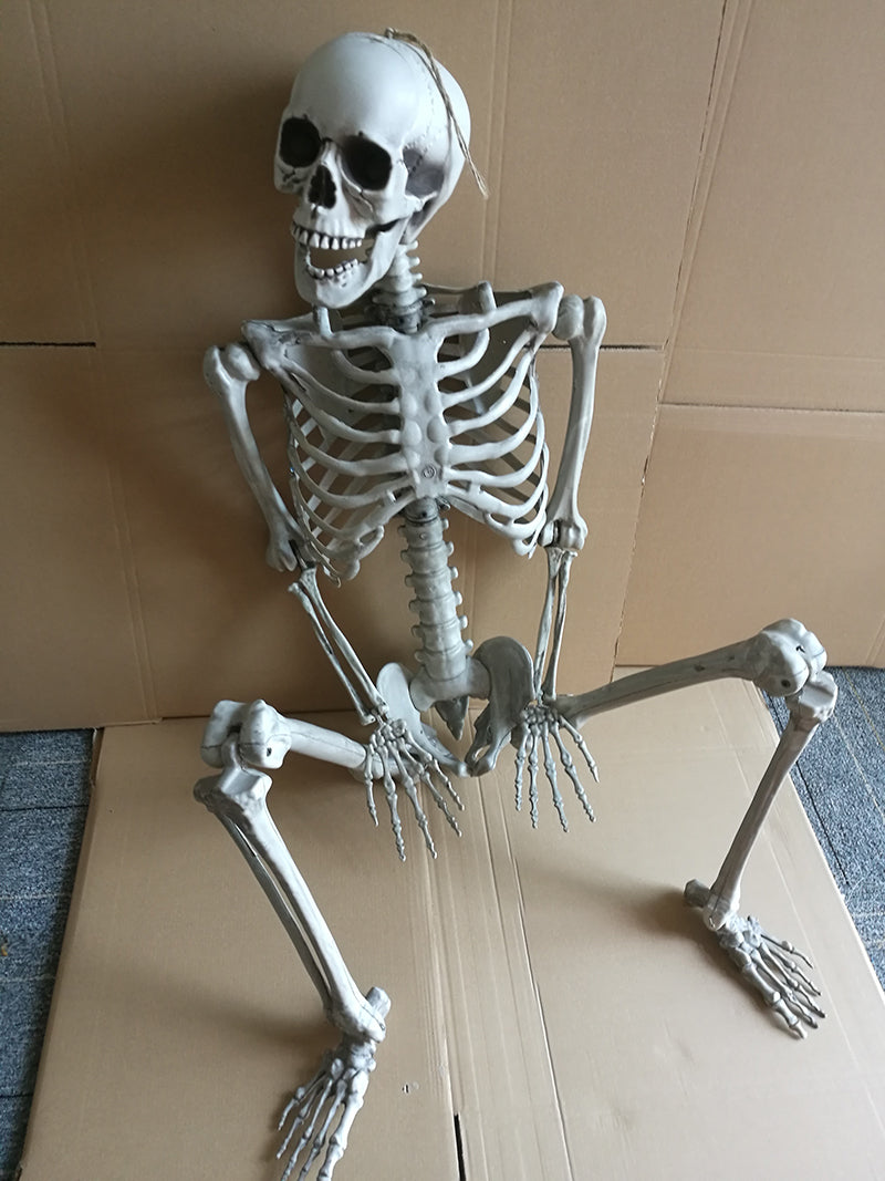 Fake Skeleton